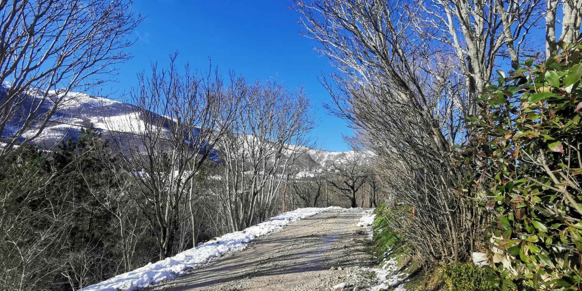 La Casetta Di Gino E Marcella Sassoferrato Bagian luar foto