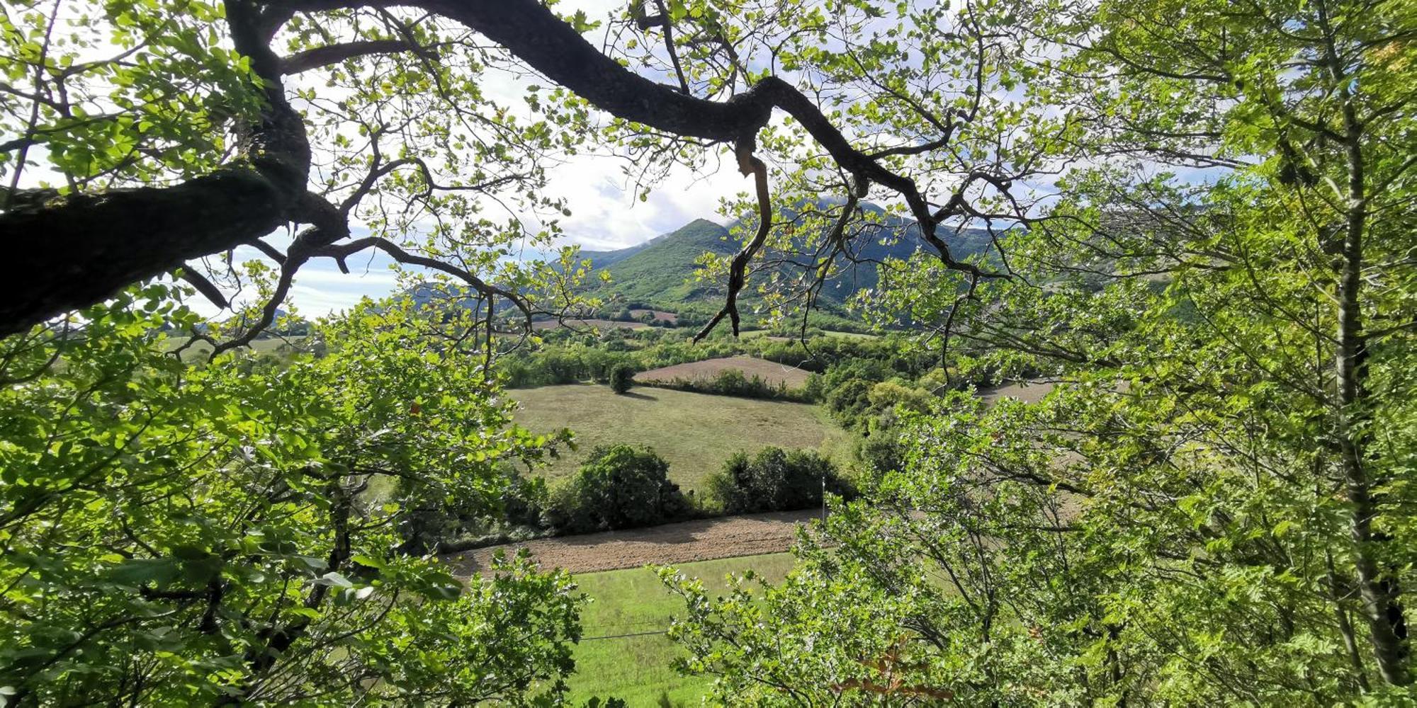 La Casetta Di Gino E Marcella Sassoferrato Bagian luar foto